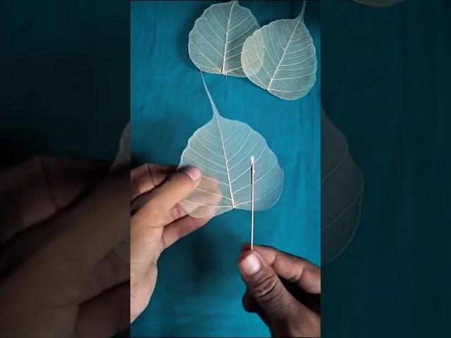 How To Make Skeleton Leave | Colourful Skeleton Leaves #shorts