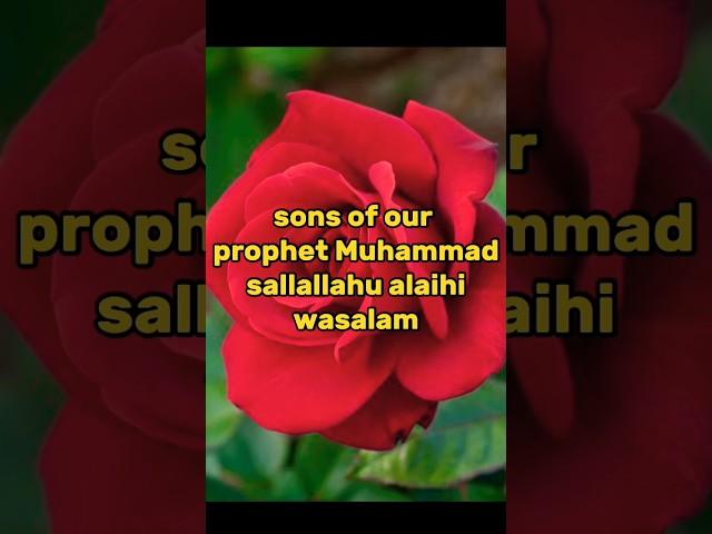 sons of our prophet Muhammad sallallahu alaihi wasallam ️ #world #islamic #subscribe #shorts