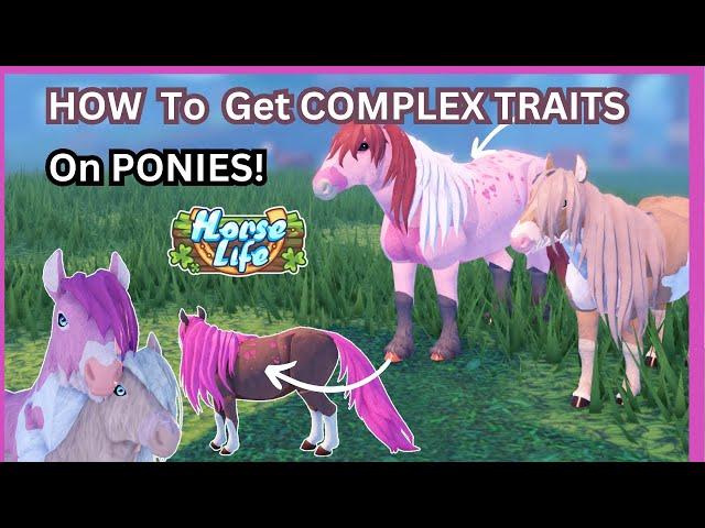 How To Get COMPLEX Traits onto cute Ponies! Horse Life Roblox