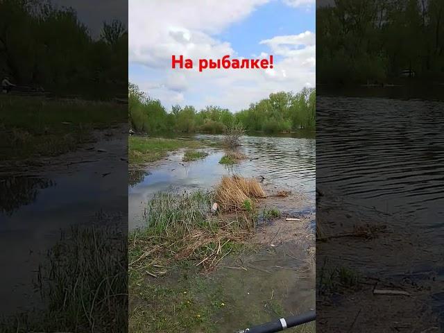 #рыбалка подписывайтесь на канал, здесь много интересных видео про рыбалку и многое другое.