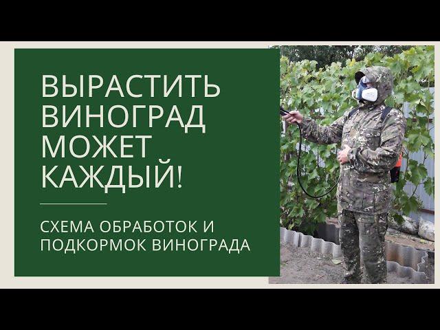 Схема обработок и подкормок винограда! Предотвратить болезни винограда легче, чем лечить!