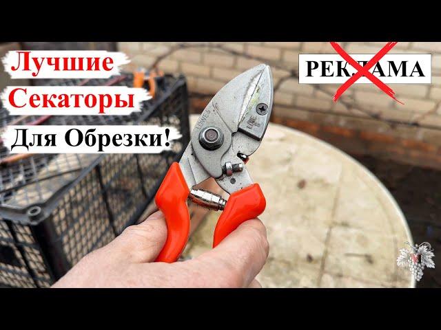 СЕКАТОРЫ, Которыми ХОЧЕТСЯ РАБОТАТЬ ВСЕГДА! Обзор ЛУЧШИХ СЕКАТОРОВ для ОБРЕЗКИ САДА и ВИНОГРАДА