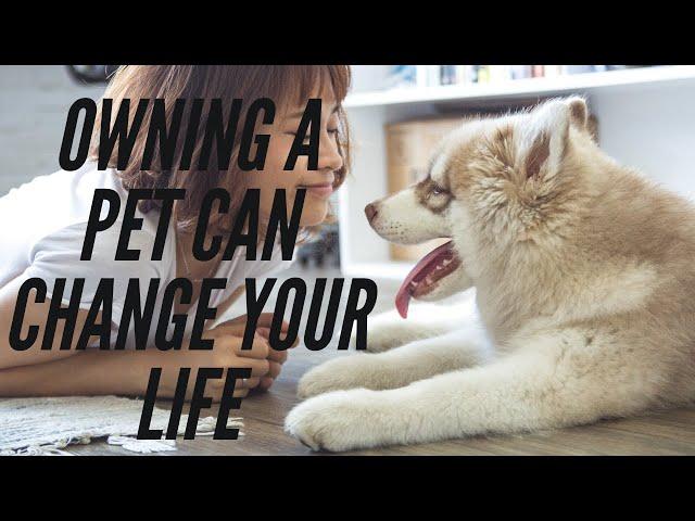 Owning A Pet Can Change Your Life