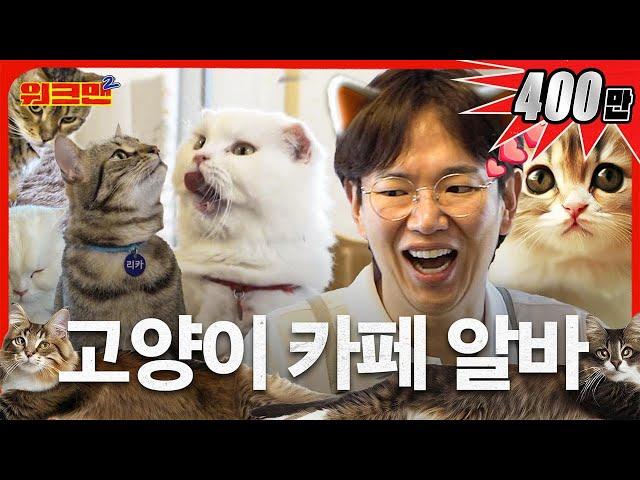 Working lying down Jang Sungkyu didn't want to pass out leaflets | Cat Café | Workman2