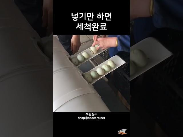 계란세척기, 달걀세척기 #식품기계 #식품자동화설비 #계란 #자동화기계