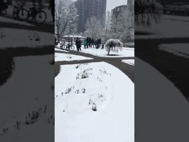 Chris Harrod Joking About Yelling "Zeig Heil" and Nazi Saluting at Calgary City Hall