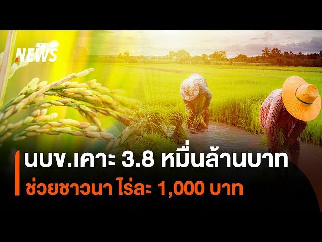 นบข.เคาะงบฯ 3.8 หมื่นล้านบาท ช่วยชาวนา ไร่ละ 1,000 บาท | Thai PBS News
