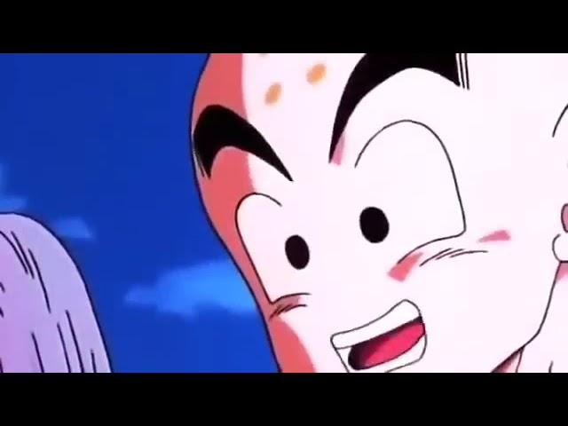 Gohan vs Cell Dub English