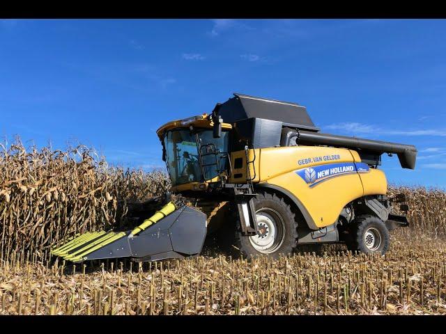 Maisdreschen 2022/ New Holland CR 9.80/ Olimac Maisvorsatz