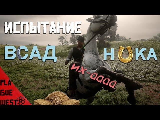 испытание всадника в red dead redemption 2