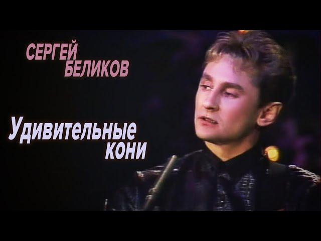 Сергей Беликов - Удивительные кони (HD)