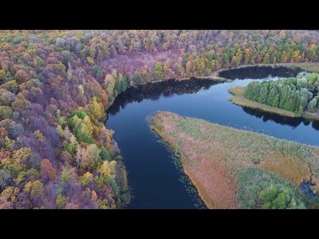 Белая гора.  Воронеж