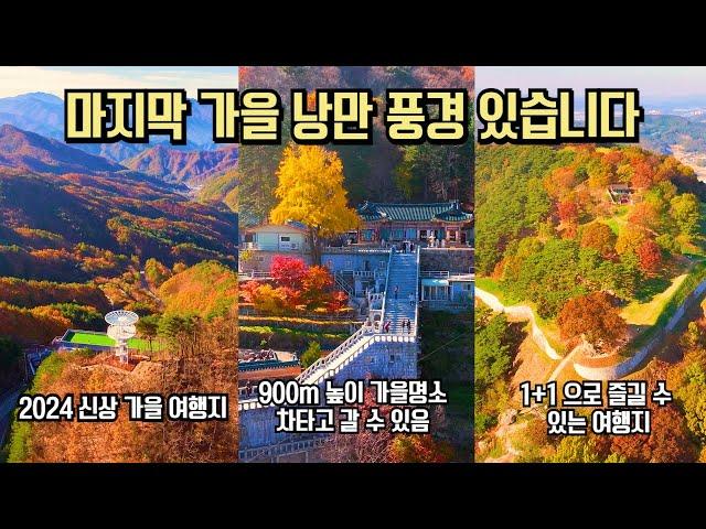 11월 단풍 은행 추천 마지막 가을 풍경 남았습니다 여행 추천 BEST #국내여행 #여행추천