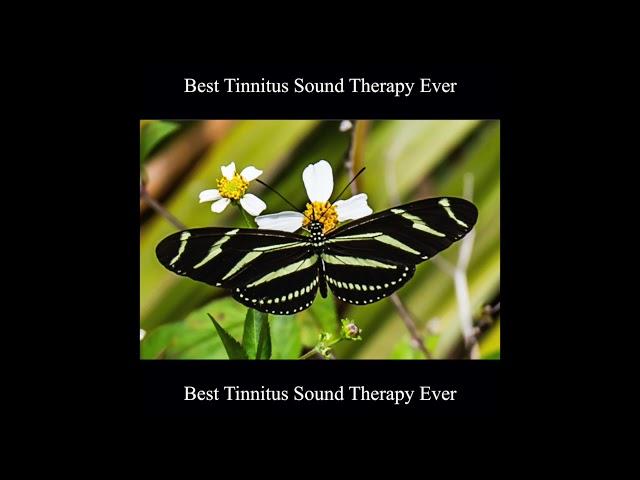 Best Tinnitus Sound Therapy Ever 10 Hours