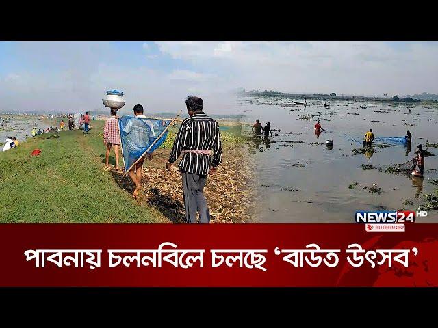 পাবনায় চলনবিলে চলছে ‘বাউত উৎসব’ | Pabna | Fish Festival in Pabna | News24