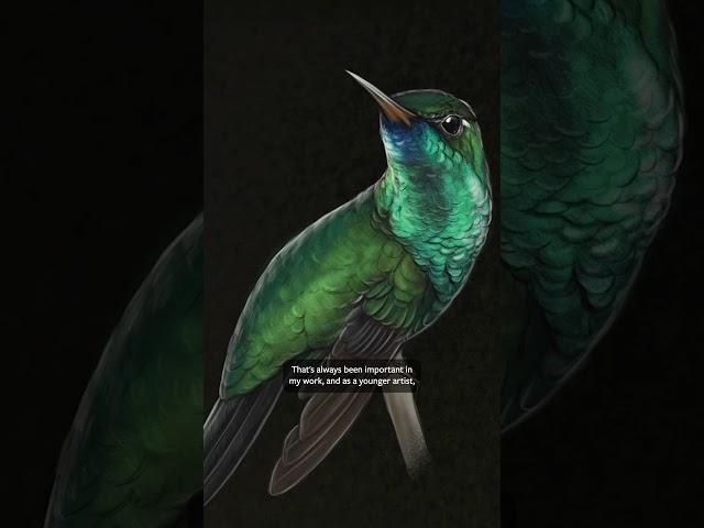 Inside the World of Bird Illustration at Cornell Lab of Ornithology