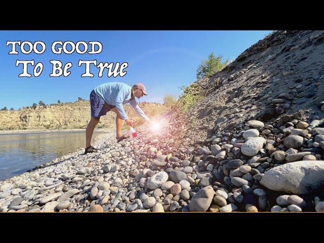 Exploring ROCKHOUND PARADISE On The Yellowstone River [Amazing Agate Hunt!]