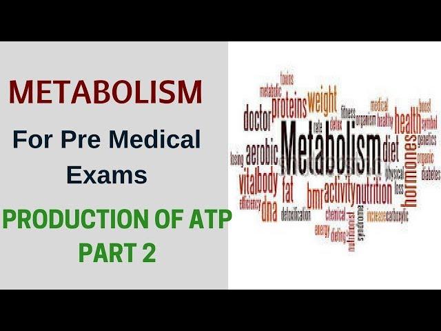 Metabolism Of Glucose for Pre-Medical Exams : Production of ATP Part 2