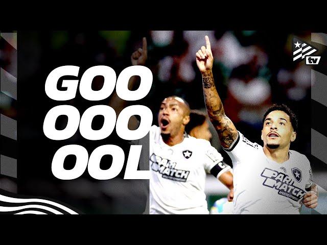 Gols | Palmeiras 1x3 Botafogo | Brasileirão