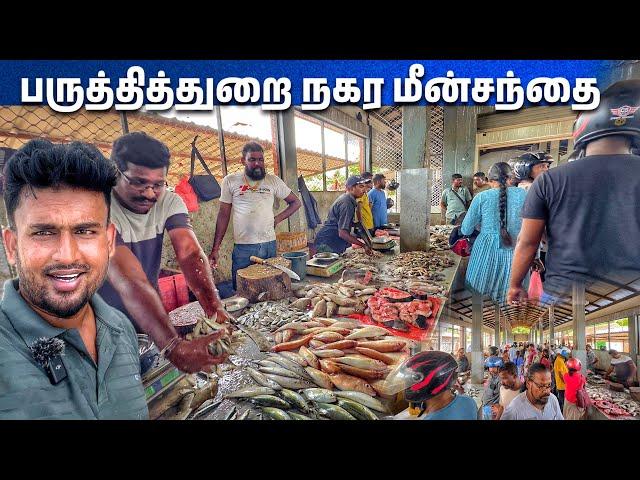 பருத்தித்துறை- மீன்சந்தை அழகிய சுற்றுப்பயணம் | PointPedro | Sri Lanka