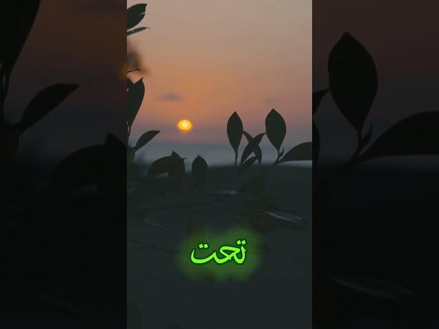قصيدة رائعة: لحن الطبيعة 