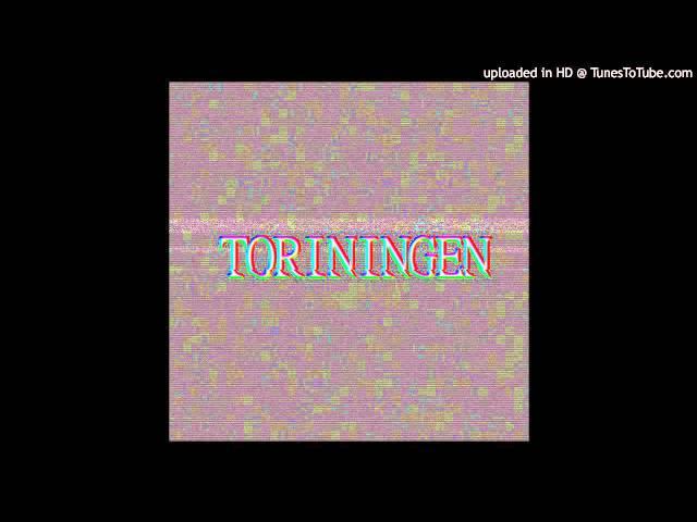 Toriningen - TORININGEN - 02 Toriningen