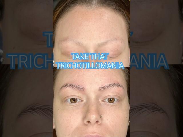 No Brows to Brow Wow