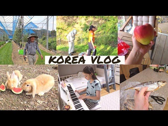 Моя обычная жизнь в Южной Корее / KOREA VLOG