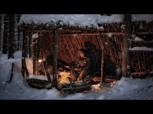 3 Day [Solo Winter Camping] in My Bushcraft Shelter on Deer Skins - Craft Bird Feeder - ASMR