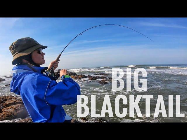 Light Tackle Fishing South Africa’s Rocky Coastline (Big Blacktail)