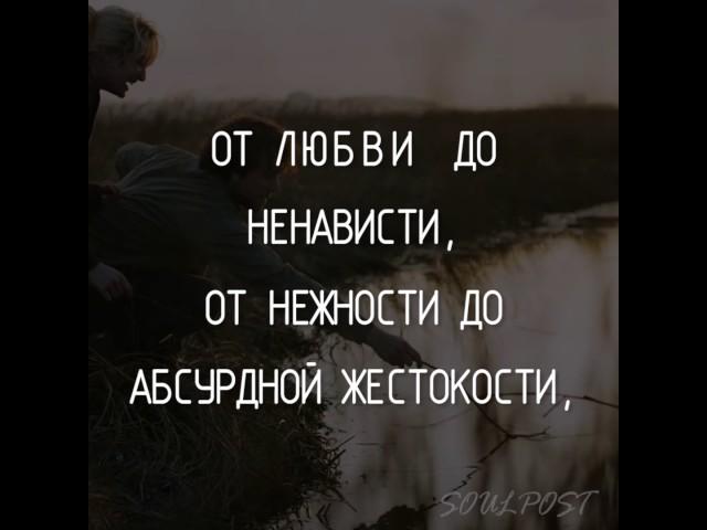 Палитра чувств