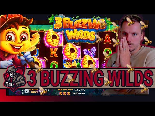 3 BUZZING WILDS  | ABOWUNSCH, Herr der Bienen | Freegames High Stakes  | Casino Highlights