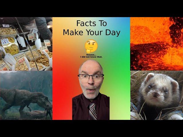 30 Random Facts to Make Your Day #39