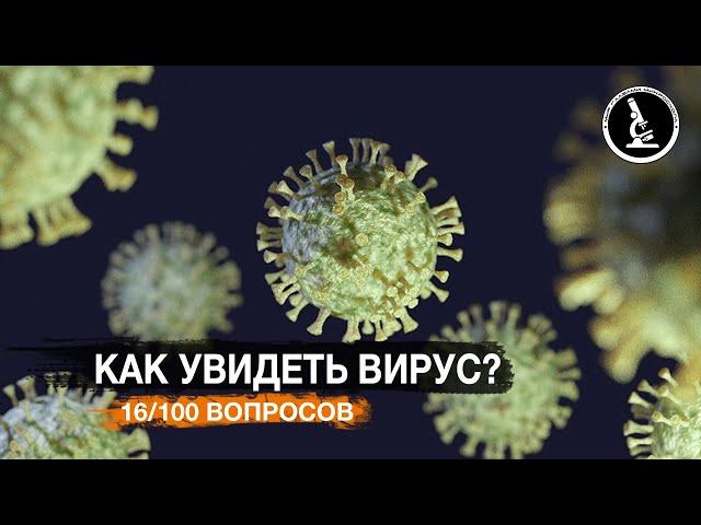 САМЫЙ МОЩНЫЙ МИКРОСКОП В МИРЕ. КАК УВИДЕТЬ ВИРУС, АТОМЫ?