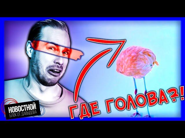 ЭТО СДЕЛАЛ ЧЕЛОВЕК?! | Самые “горячие” плейлисты | Мясо от Huawei