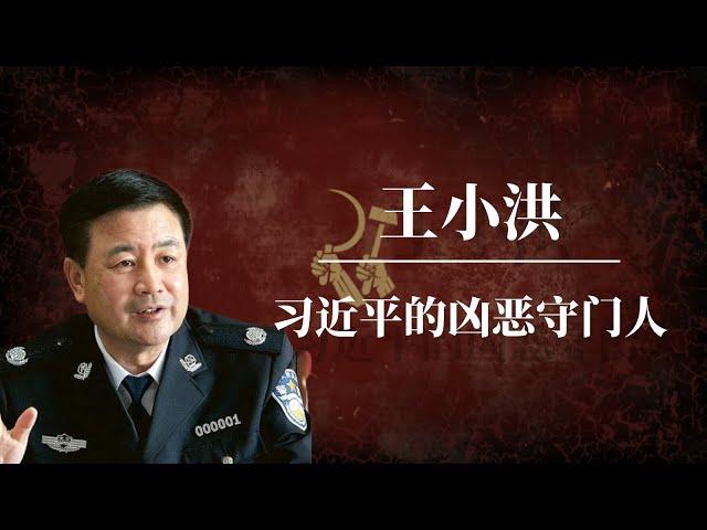 王小洪：习近平最信任的人｜习近平的凶恶守门人｜中国警界掌门人 ｜中国公安部部长 ｜蔡奇｜江泽民｜胡锦涛｜福建帮｜Minister of Public Security of China