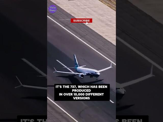 The Most Popular Boeing Aircraft: The Boeing 737