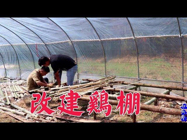 農村小伙改建雞棚，山上聽見什麼聲音了？偷偷摸摸的去抓【石頭秀】