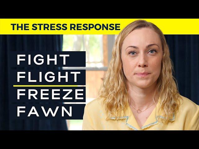 Fight, Flight, Freeze, Fawn: Understanding Your Stress Responses