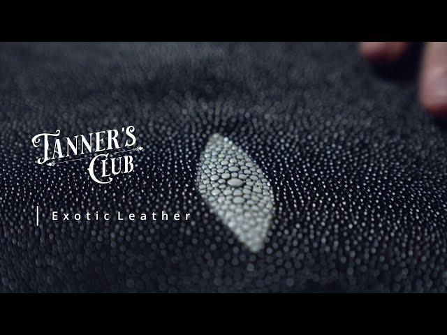 Ethical Exotic Leather? | Leather Tips & Hints | Leather 101