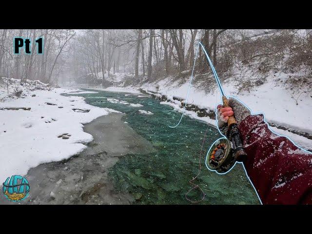 Fly Fishing some of the Most Miserable Conditions on Earth! (Erie Steelhead Pt 1)