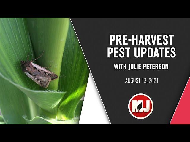 Pre-harvest Pest Updates | Julie Peterson | August 13, 2021