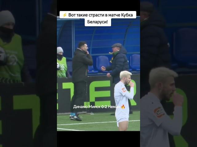  Жара в матче Кубка Беларуси! #футбол #футболбеларуси #динамоминск #неман #football