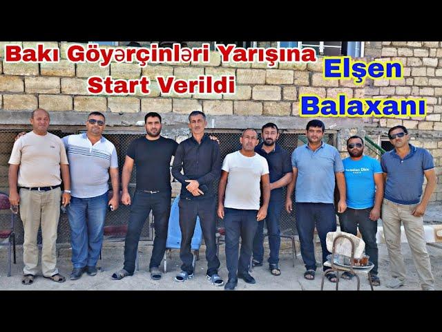 Azərbaycan Çempionatı Bakı Göyərçinləri Yarışına Start Verildi Yarışçı Elşen Balaxanı 22 İyun 2023