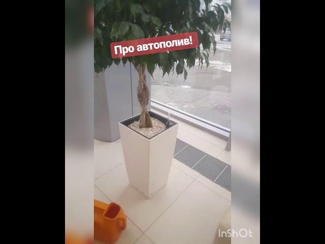 Кашпо с автополивом