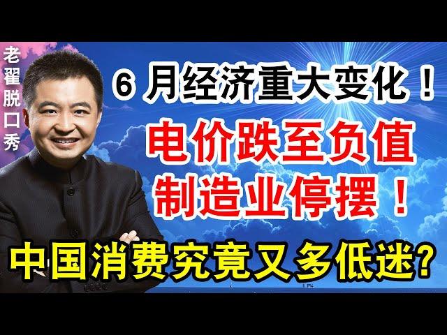 6月经济重大变化！电价跌至负值，制造业停摆！中国消费究竟又多低迷？#翟山鹰 #老翟脱口秀