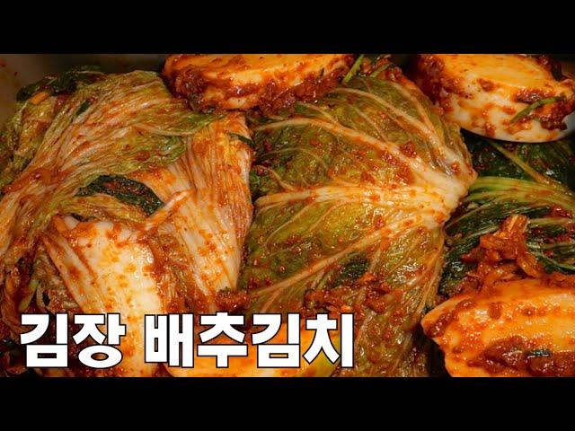 숙성까지 성공! 김장 김치 맛있게 담그는 법! 배추김치 20kg 완벽한 양념 만들기