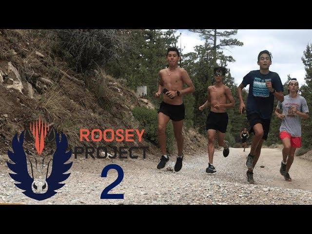 ROOSEY PROJECT SEASON 2  | ROOSEY PROJECT