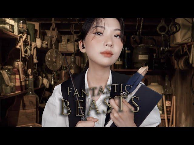 ASMR | Fantasic Beasts and Newt Scamander's Assistant