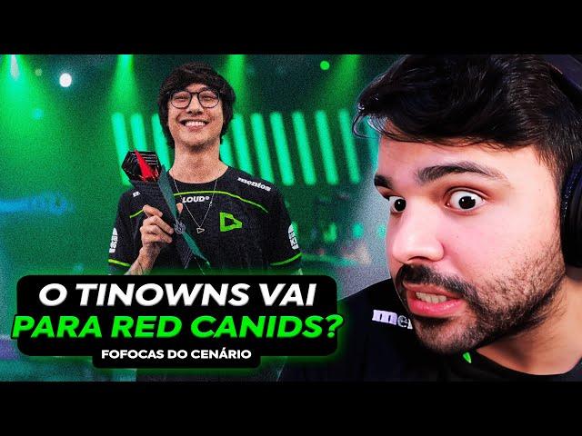  TINOWNS NA MATILHA! ELE VAI RESOLVER OS PROBLEMAS DA RED CANIDS? MINERVA REAGE E OPINA SOBRE